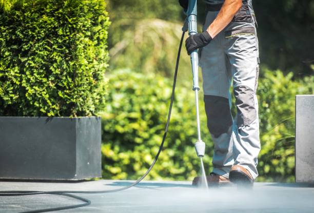 Best Boat and Dock Cleaning  in Bay Pines, FL